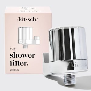 Chrome Shower Filter